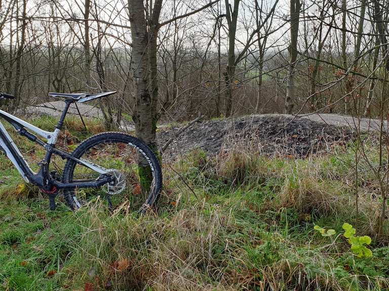 Snibston discount mtb trails