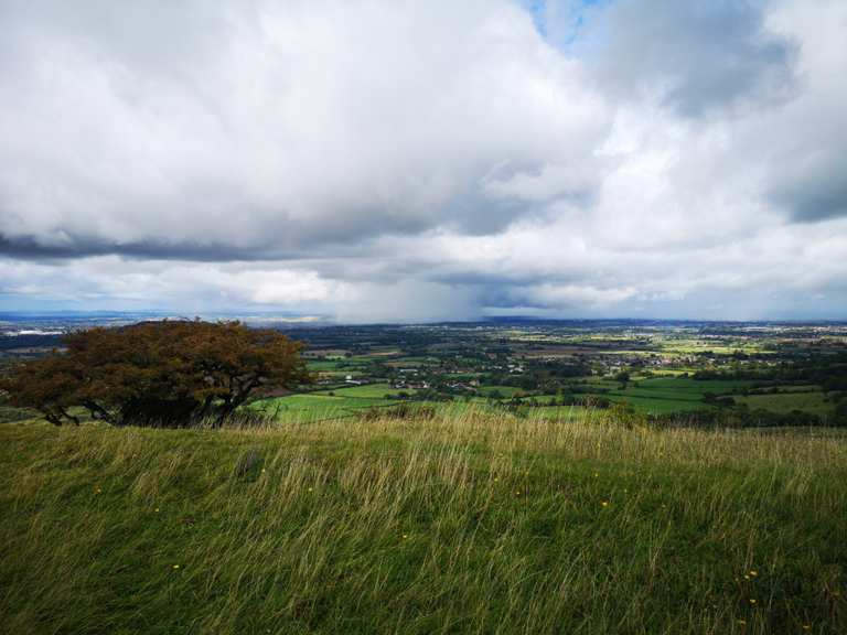 Crickley Hill Country Park & Shurdington Beacon loop — Les Cotswolds ...