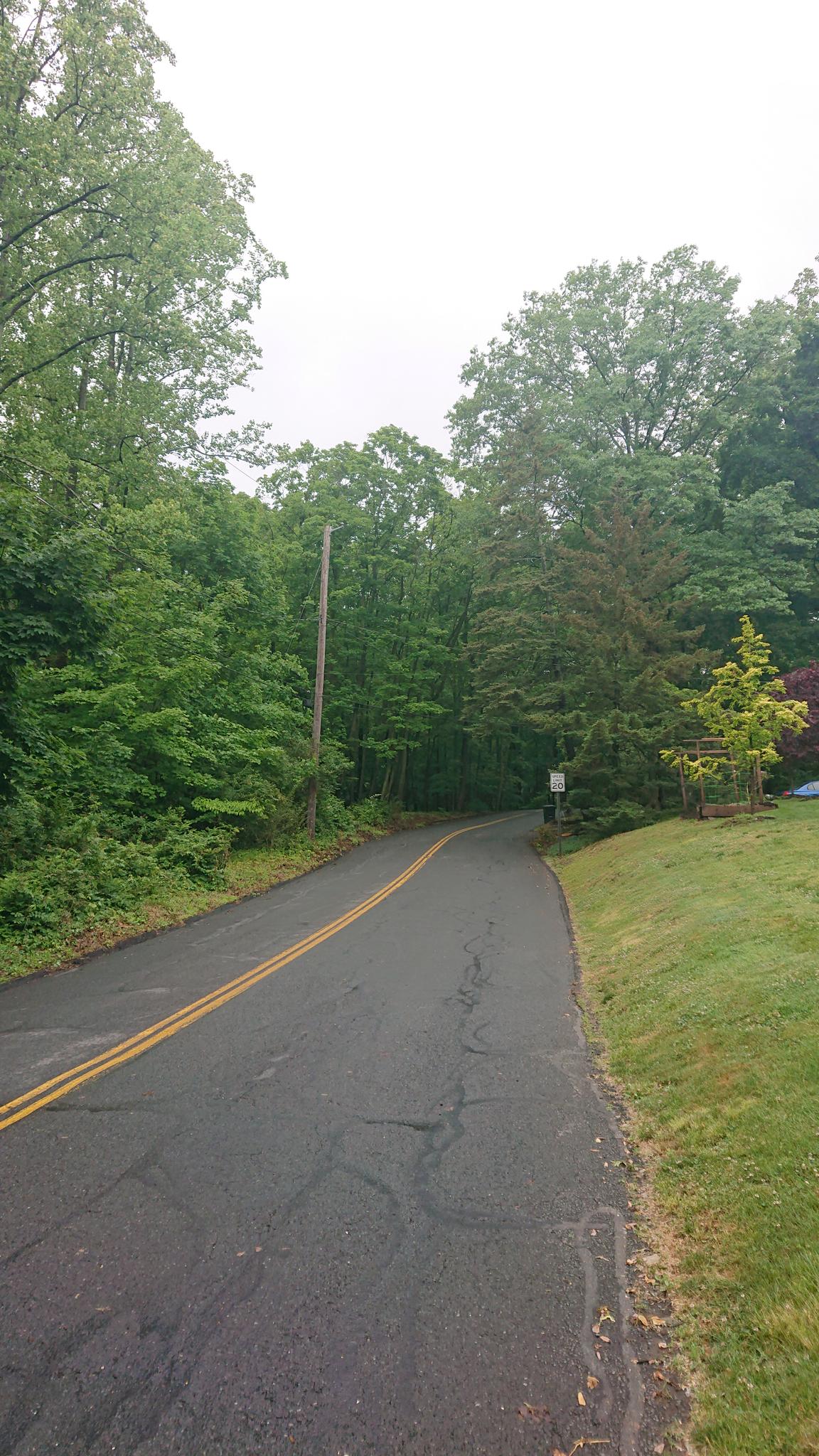 Overcast road winding through dense green forest.