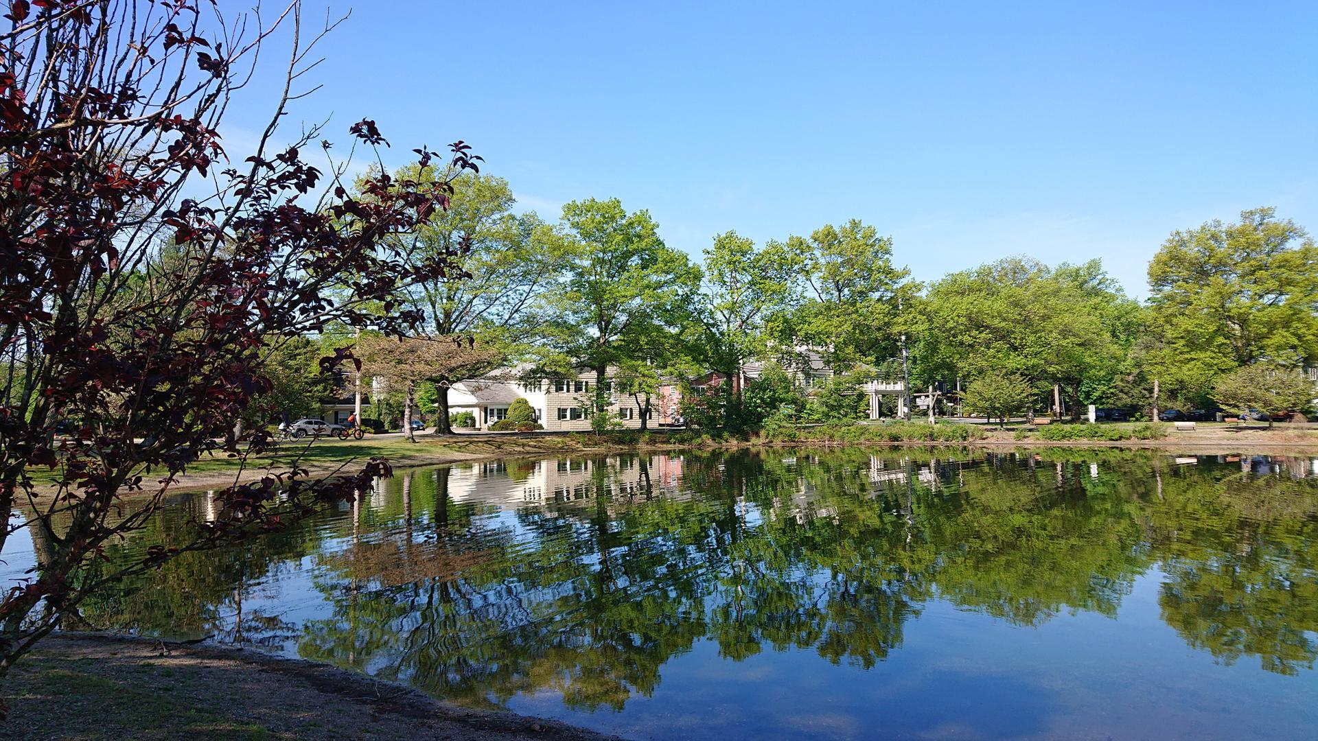 A calm lake reflecting green trees and distant houses under a clear blue sky.