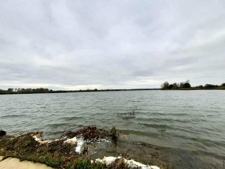 Eschefelder Teiche (Großer Teich) Wanderungen und Rundwege komoot