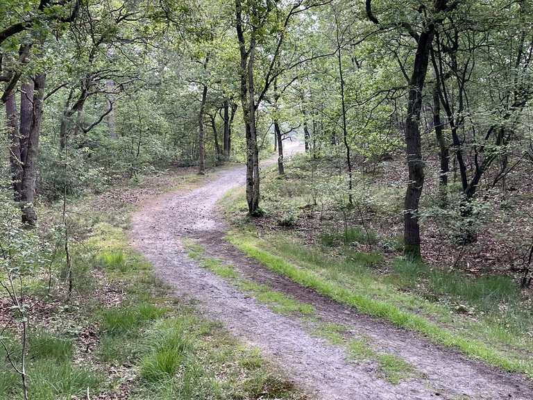 Korte Duinen De duinen van soest!