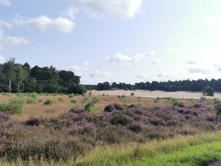 Korte Duinen De duinen van soest!