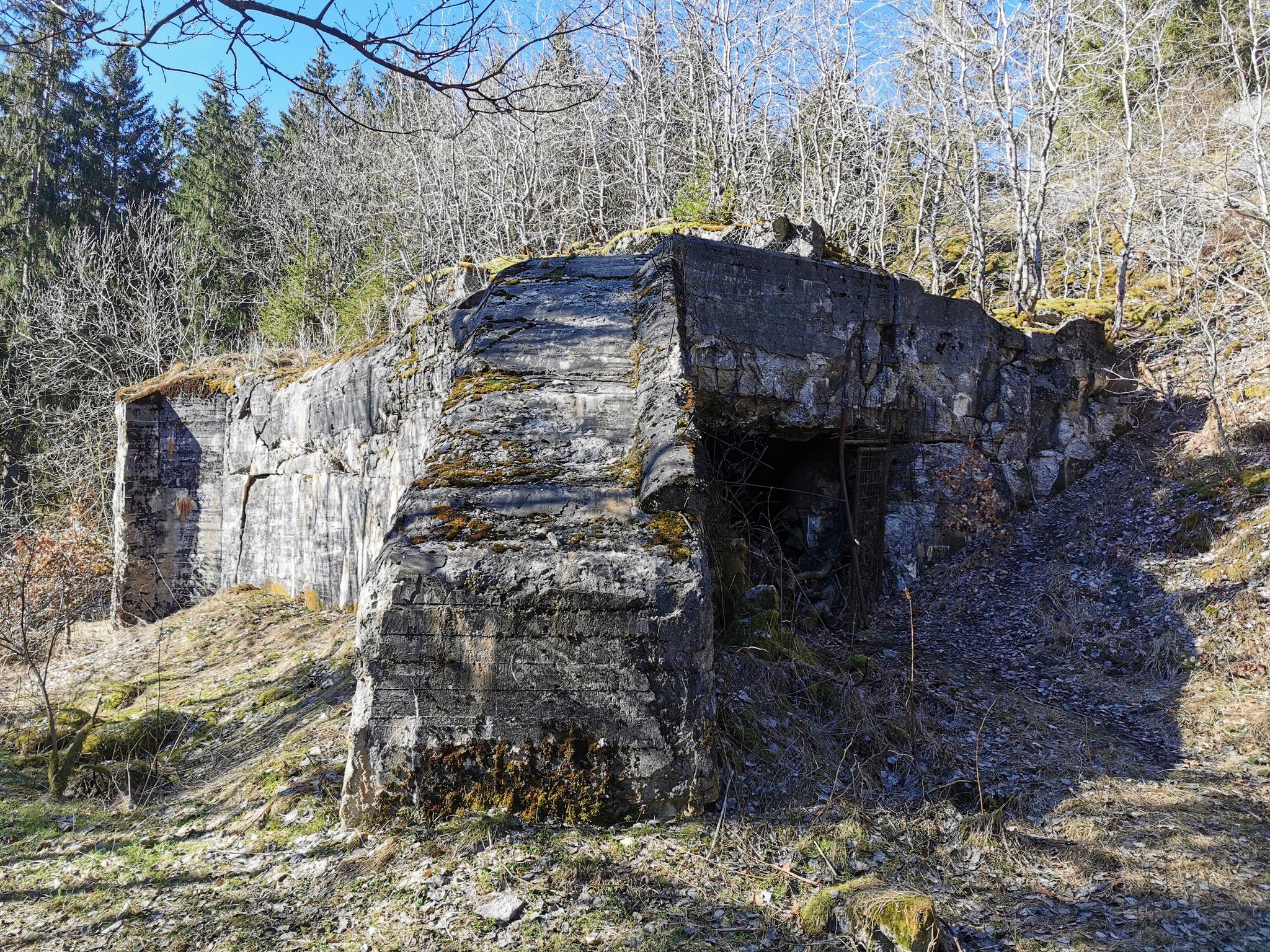 Westwall-Bunker: Wanderungen Und Rundwege | Komoot