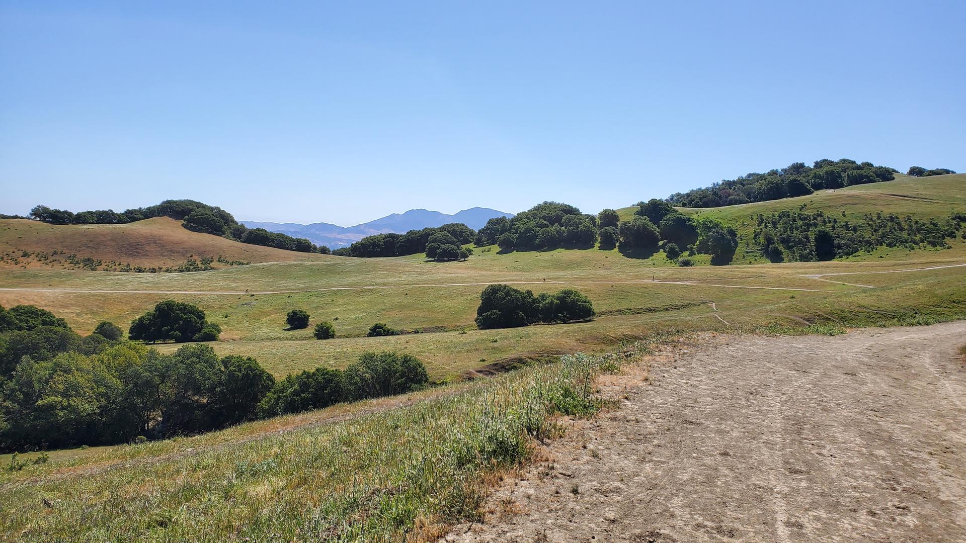 Expansive green and golden hills with scattered trees under a clear blue sky.
