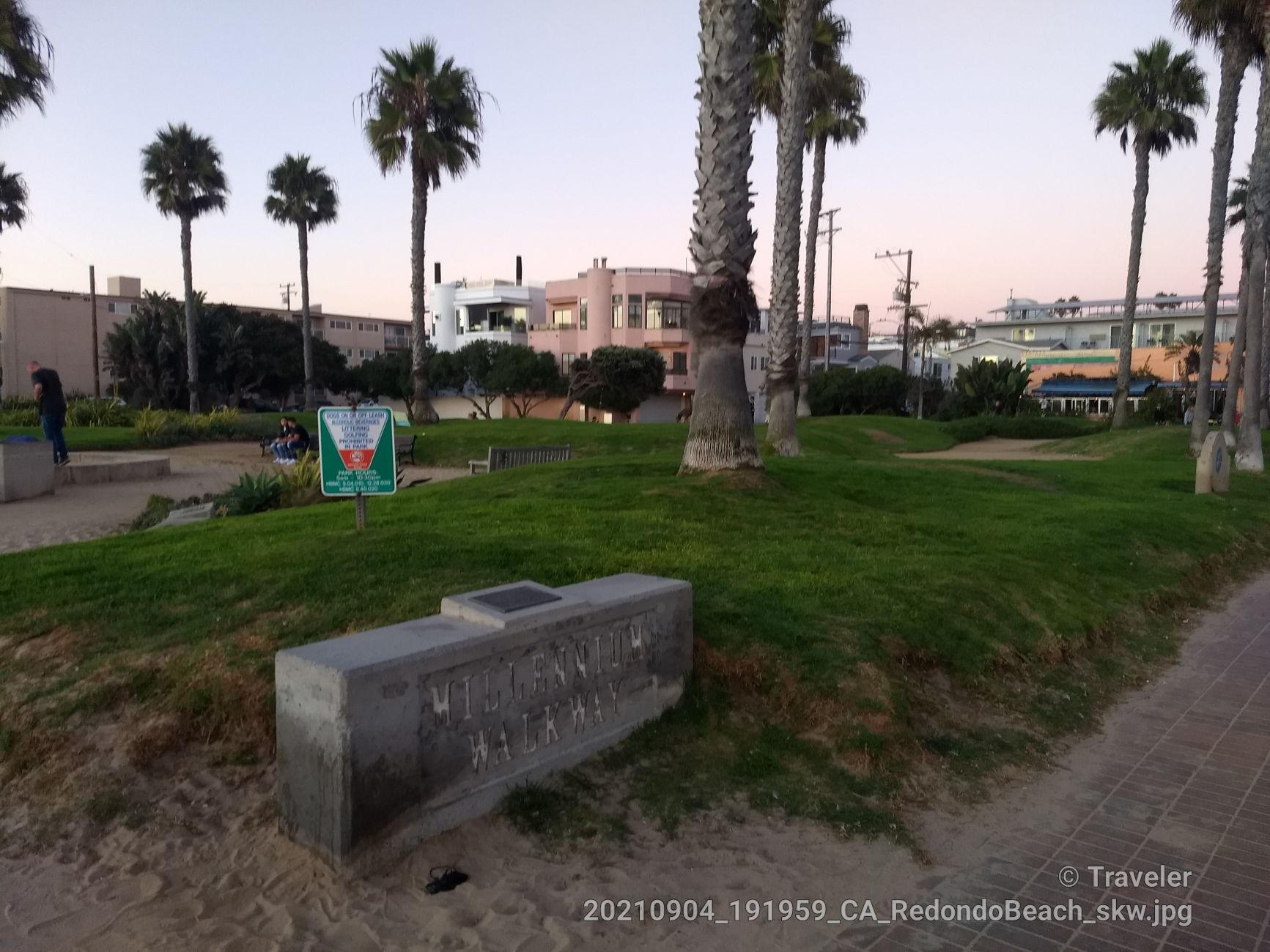 Grassy park with palm trees, stone bench, and distant buildings at dusk.