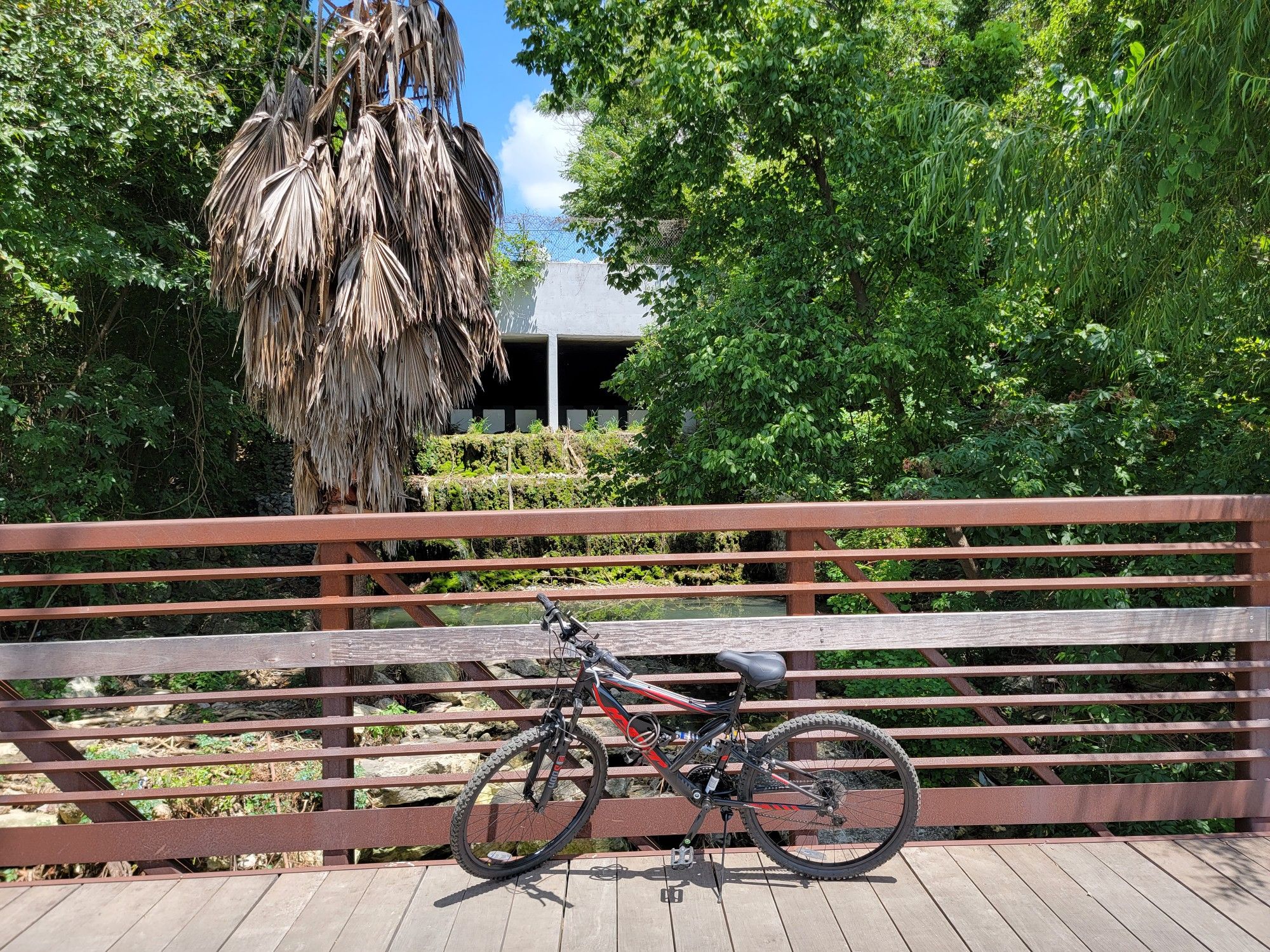 A mountain bike parked on a wooden bridge, surrounded by green foliage. - Sharon Prete Main Street Plaza loop from Stony Point High School