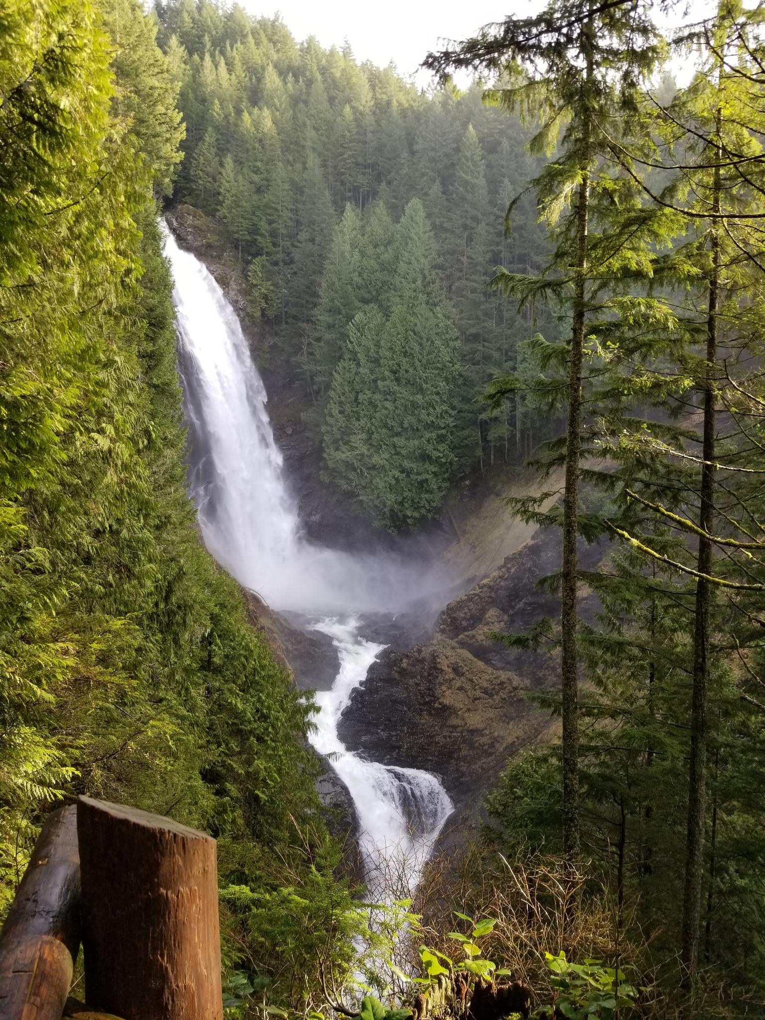 A powerful waterfall cascades down rocky cliffs surrounded by dense green forest.