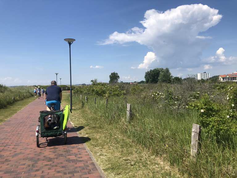 Radweg direkt am Stand Pelzerhaken Neustadt in Holstein