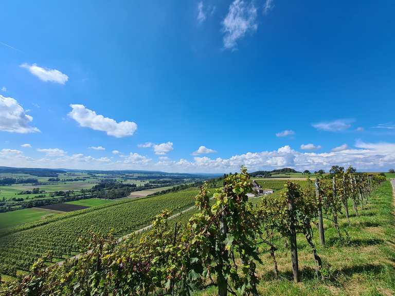 Iselisberg Höhe Wanderungen und Rundwege komoot