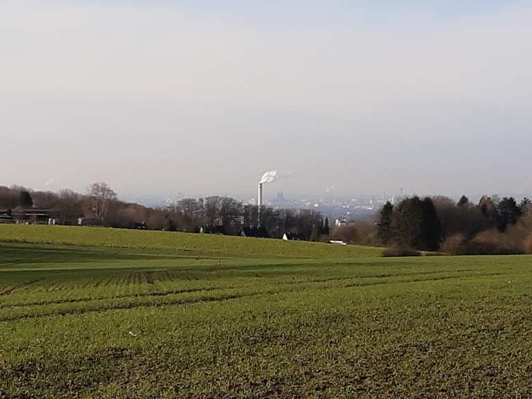 Ausblick Romaneyer Höhe Wanderungen und Rundwege komoot