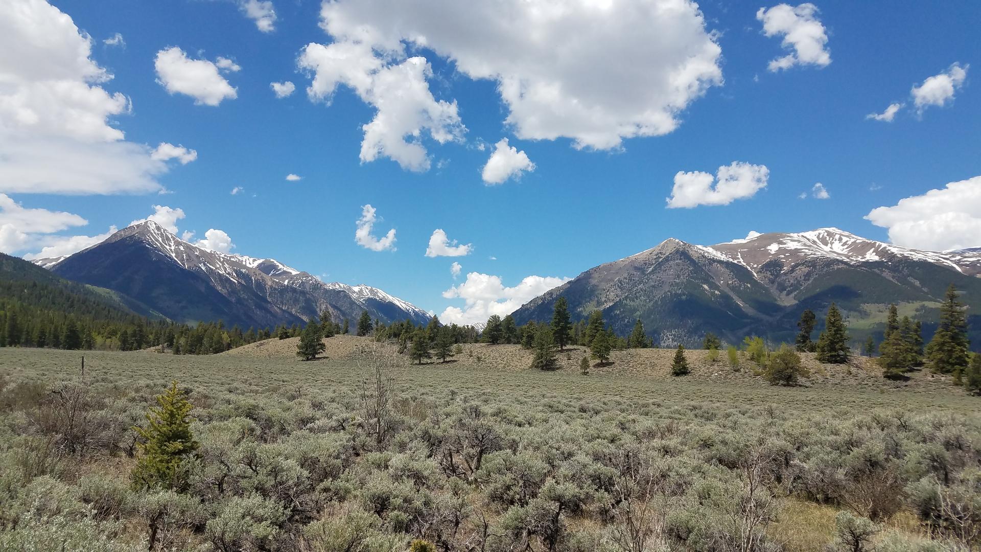 Expansive valley with sagebrush and pine trees, framed by snow-capped mountains under blue sky.