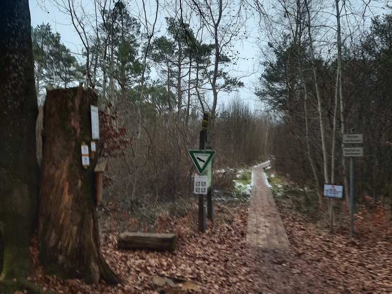 Bohlenweg durchs Moor Wanderungen und Rundwege komoot