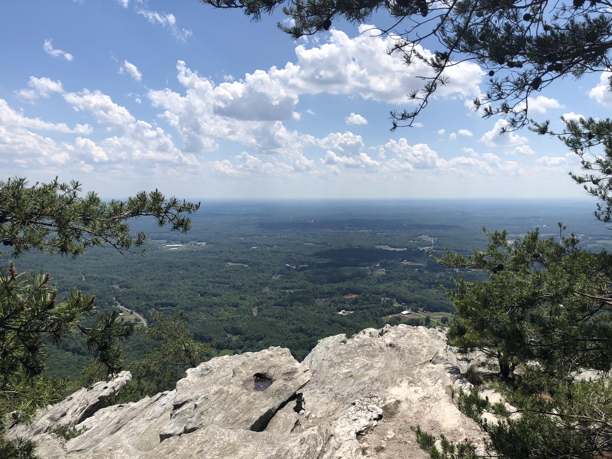 Panoramic view from rocky cliff overlooking vast green forest under sunny sky.