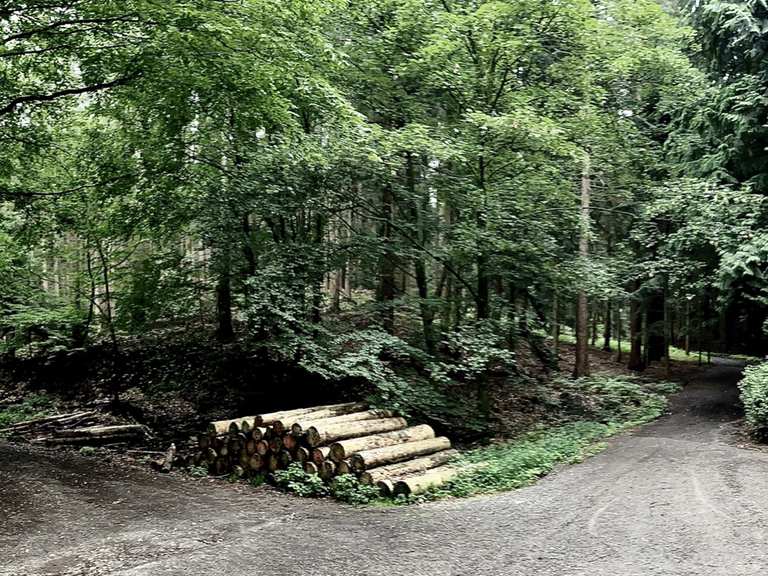 SBf Zoologischer Garten Märchenbrunnen Runde von