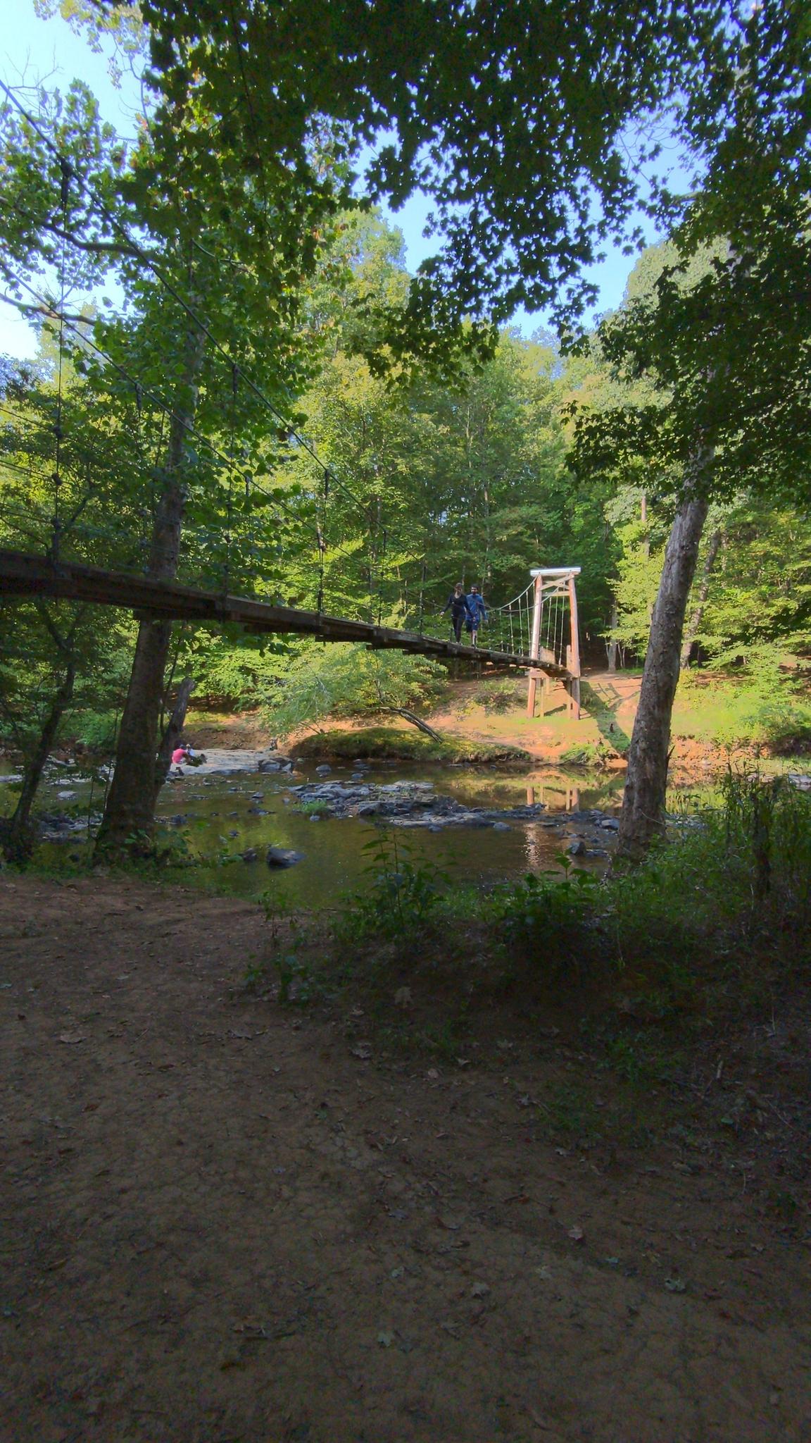 A person crosses a suspension bridge over a river, surrounded by green trees.