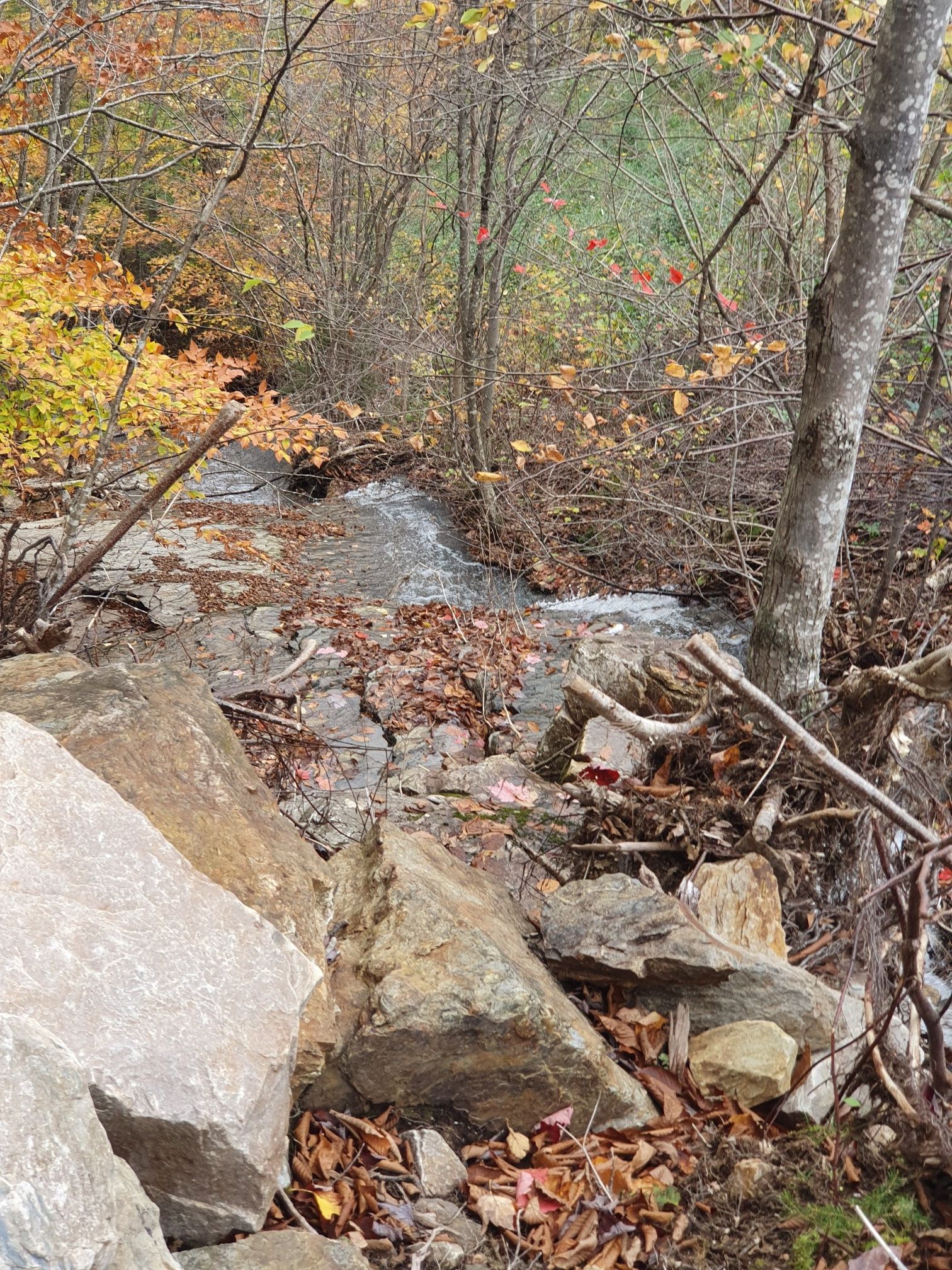 A rocky stream flows through an autumn forest with colorful leaves. - The Long Trail