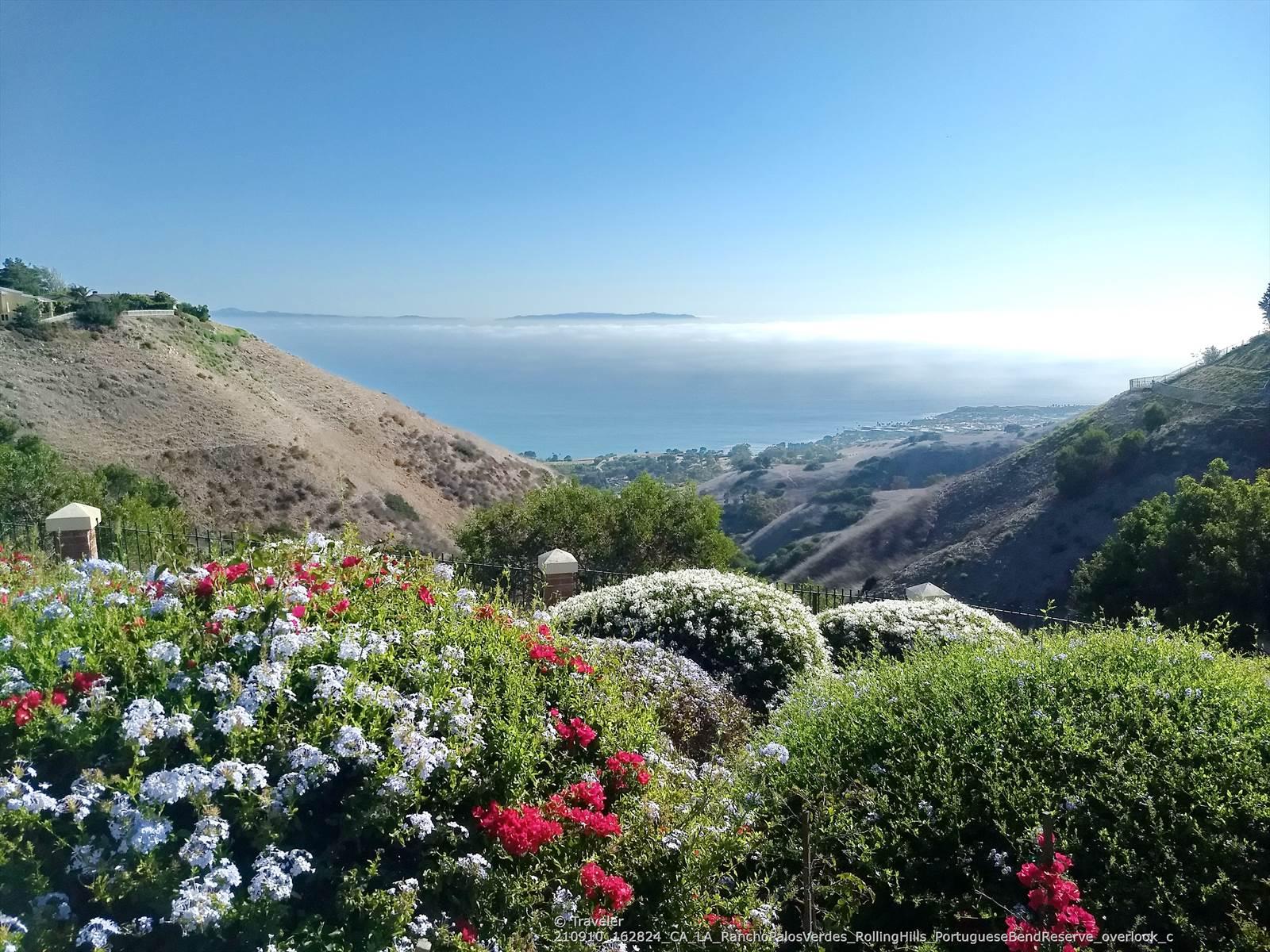 Colorful flowers in foreground, overlooking green hills and hazy ocean.