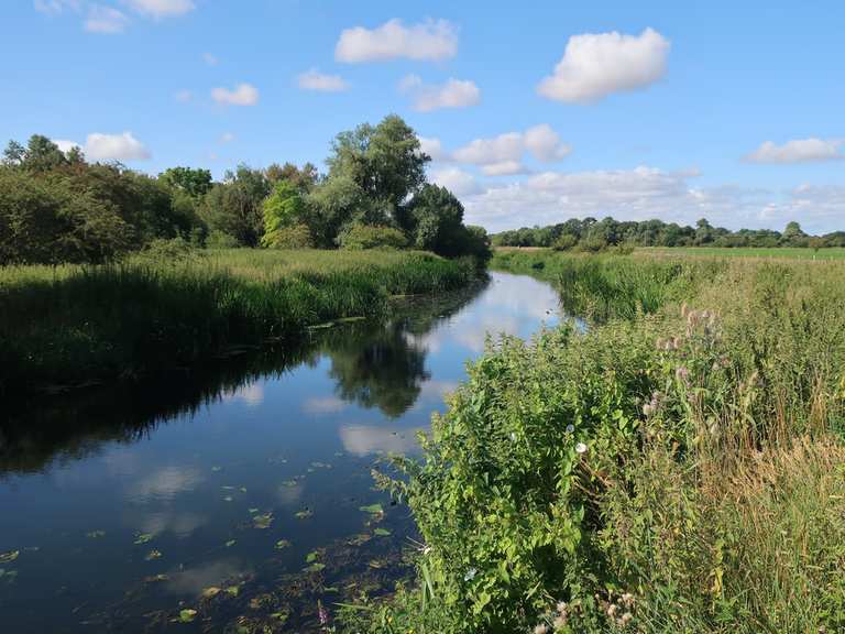 Godmanchester Nature Reserve, Houghton Meadows & the River Great Ouse ...