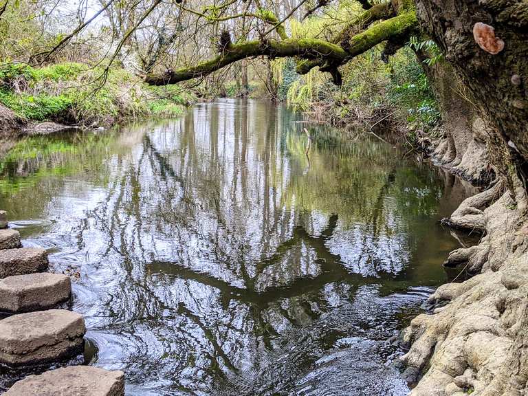 River Mole stepping stones Routes for Walking and Hiking Komoot