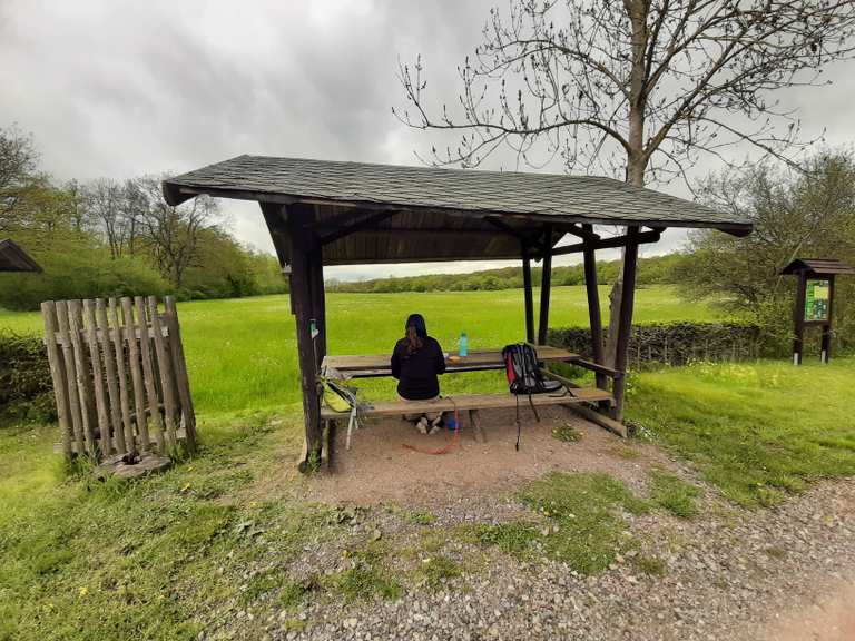 Jugendwaldheim Wildenstall: Wanderungen und Rundwege | komoot