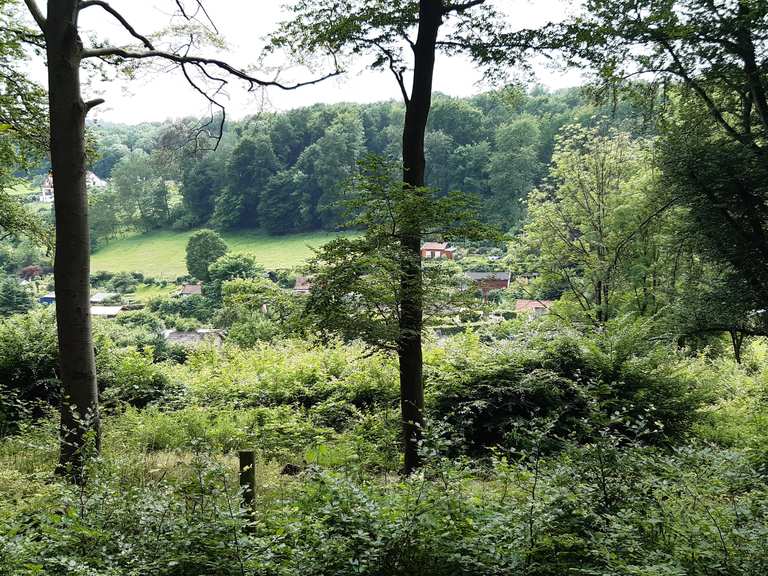 Alte Gartenanlage in traumhaft schöner Tallage Wanderungen und