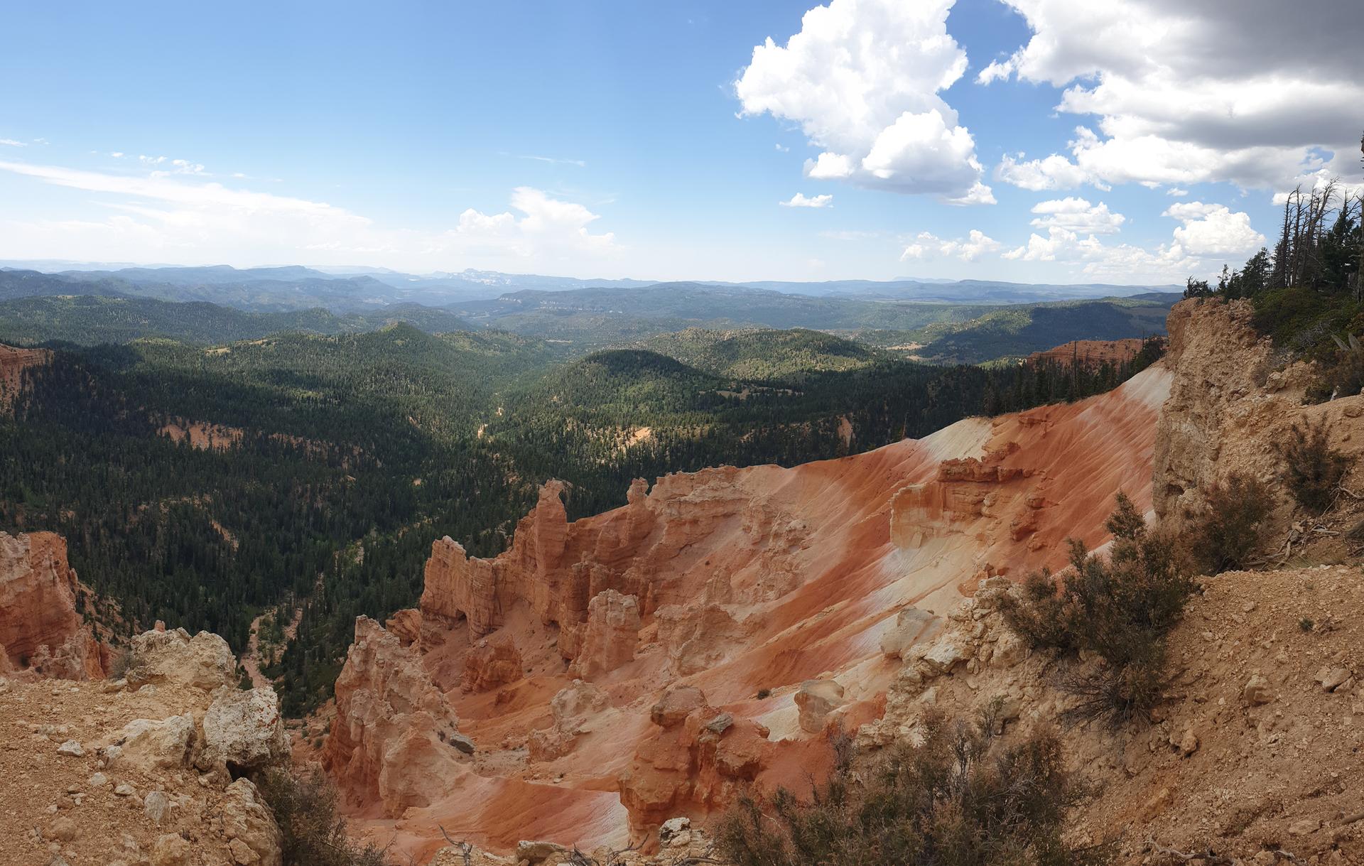 Panoramic view of a vast canyon with red rock formations and forested valley.