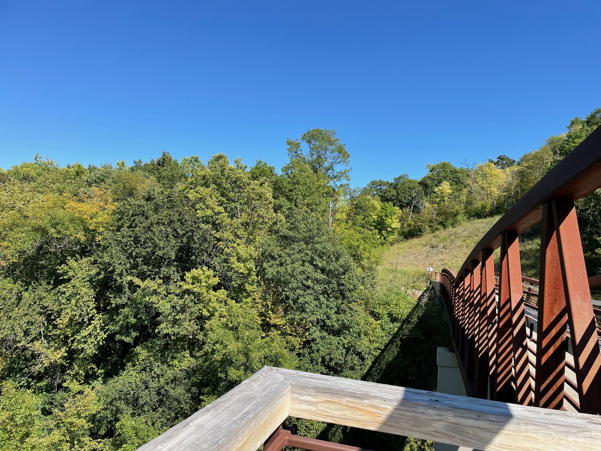 View from a wooden bridge overlooking lush green trees under a clear sky.