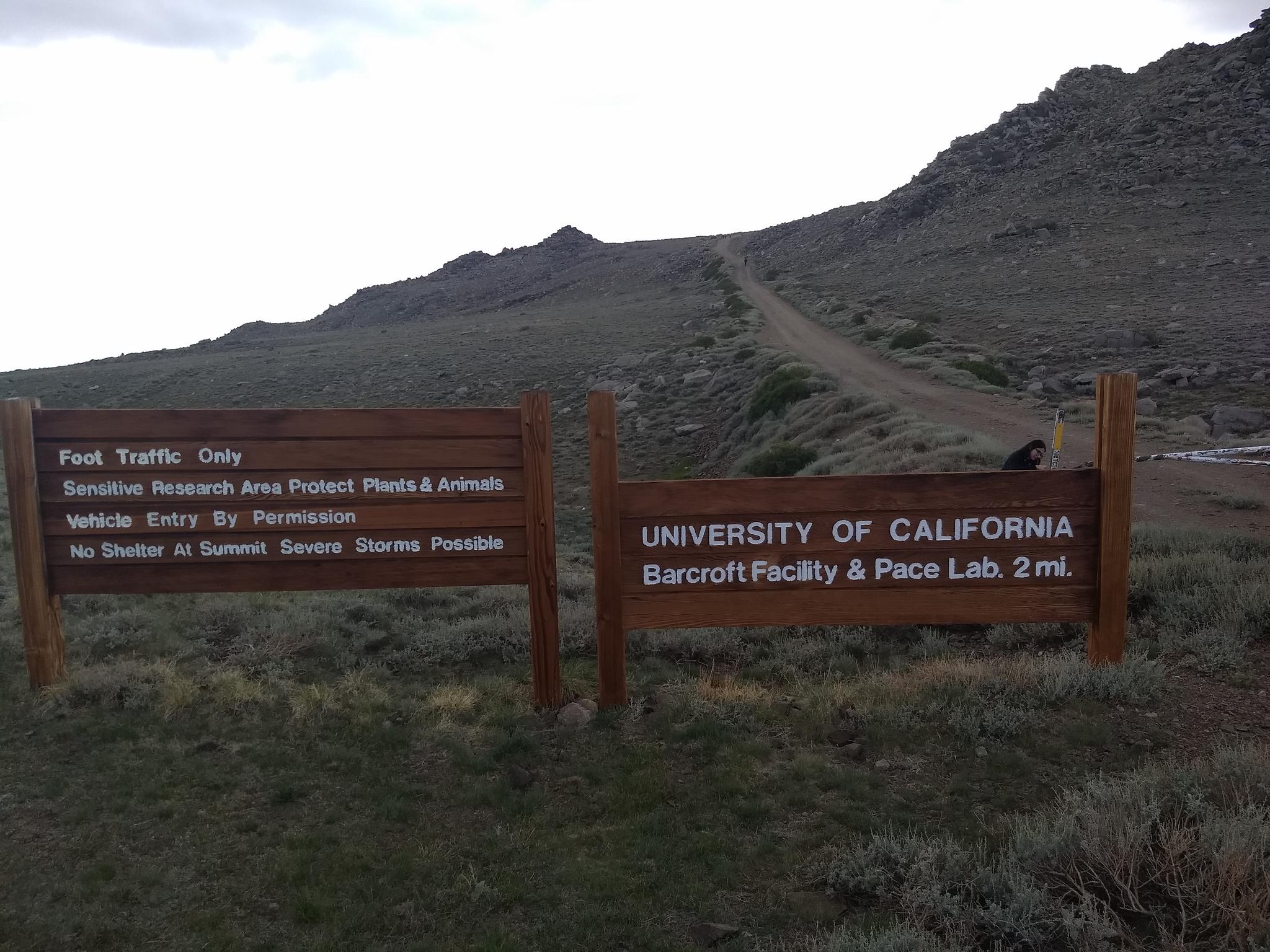 Two wooden signs on a grassy hill with a dirt road under an overcast sky.