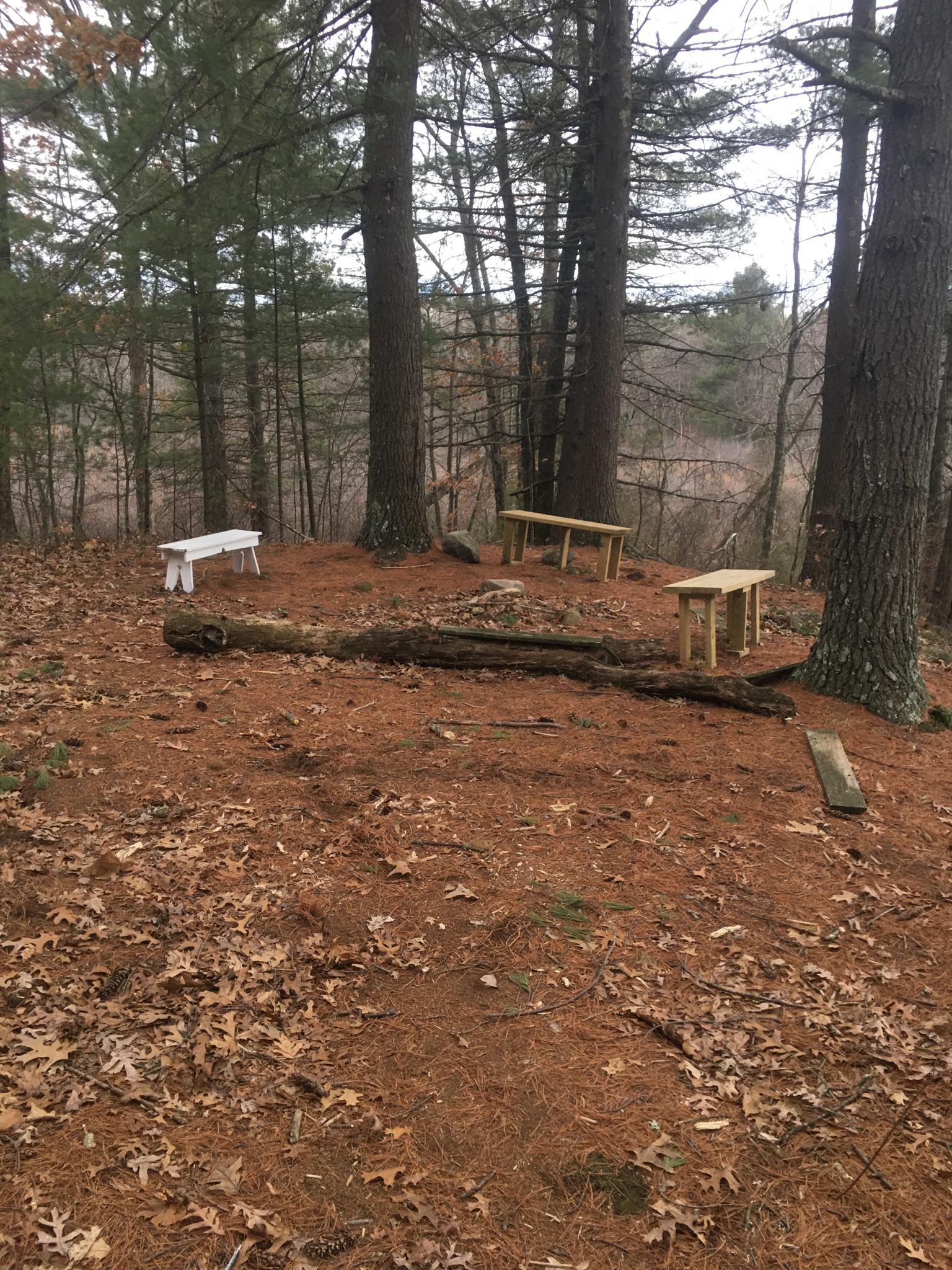 Three wooden benches and a fallen log on a pine forest floor.