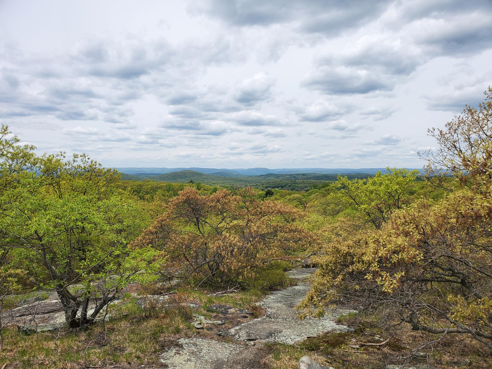 Panoramic view of rolling forested hills under a cloudy sky.