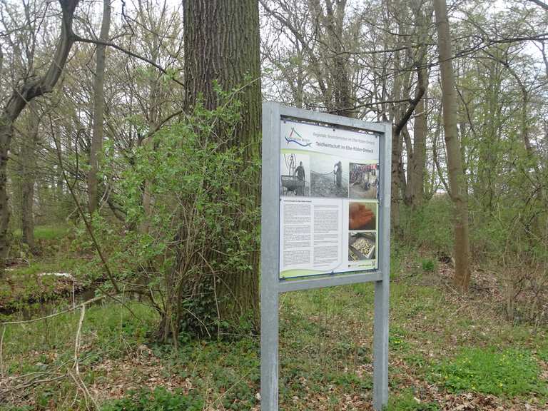 Teiche und Kleine Röder Radtouren und Radwege komoot