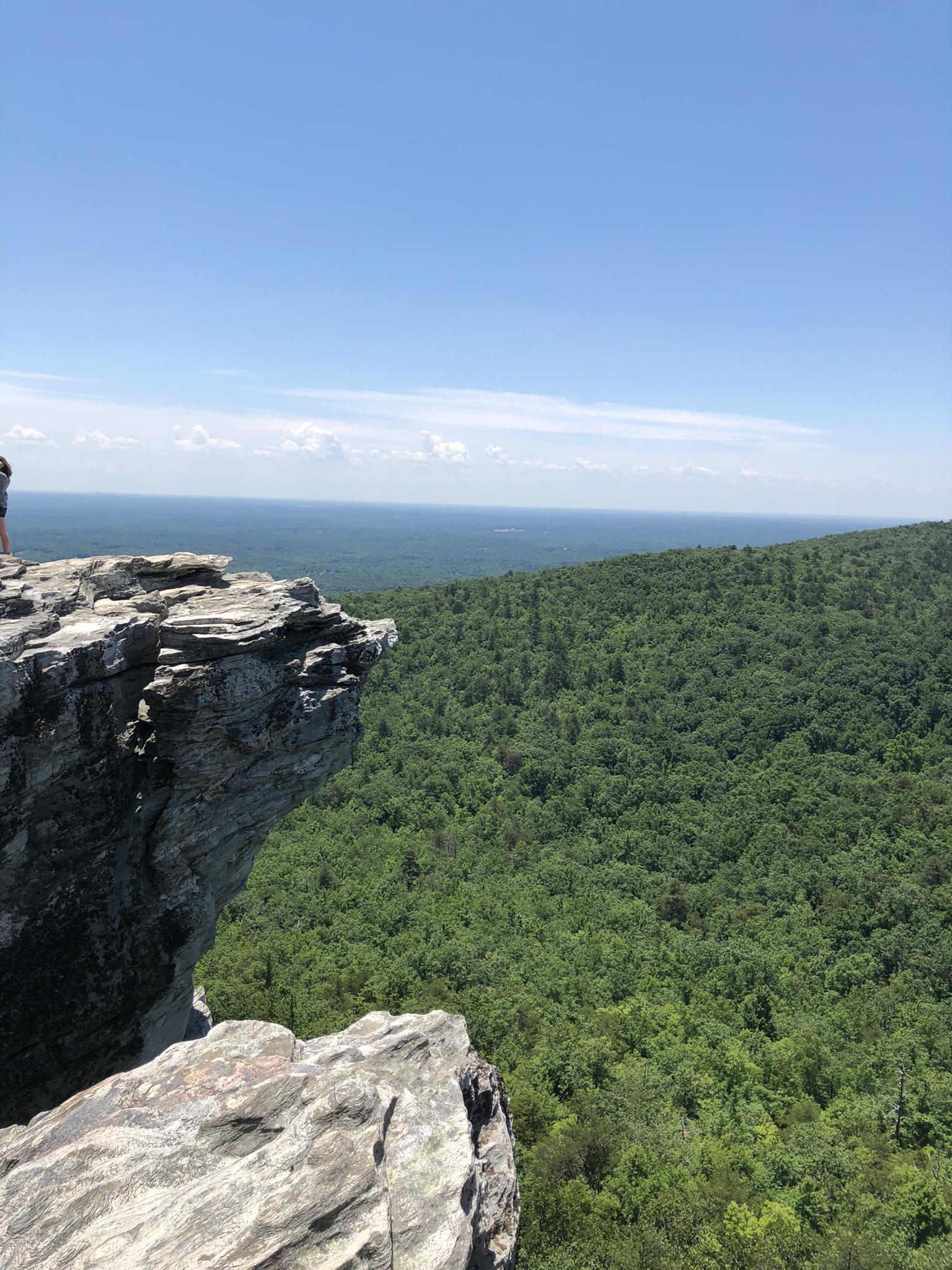 Rocky cliff edge overlooking a vast green forest under a clear sky.