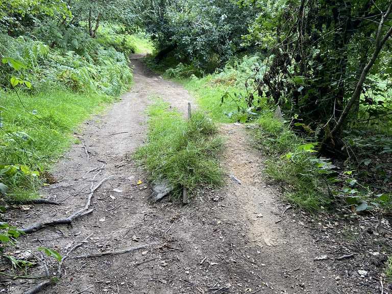 Grace Dieu woods Grace Dieu Viaduct loop from Whitwick hike Komoot