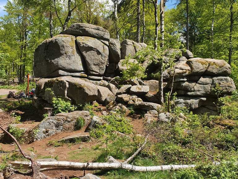 Bremer Teich Runde Wanderung Komoot