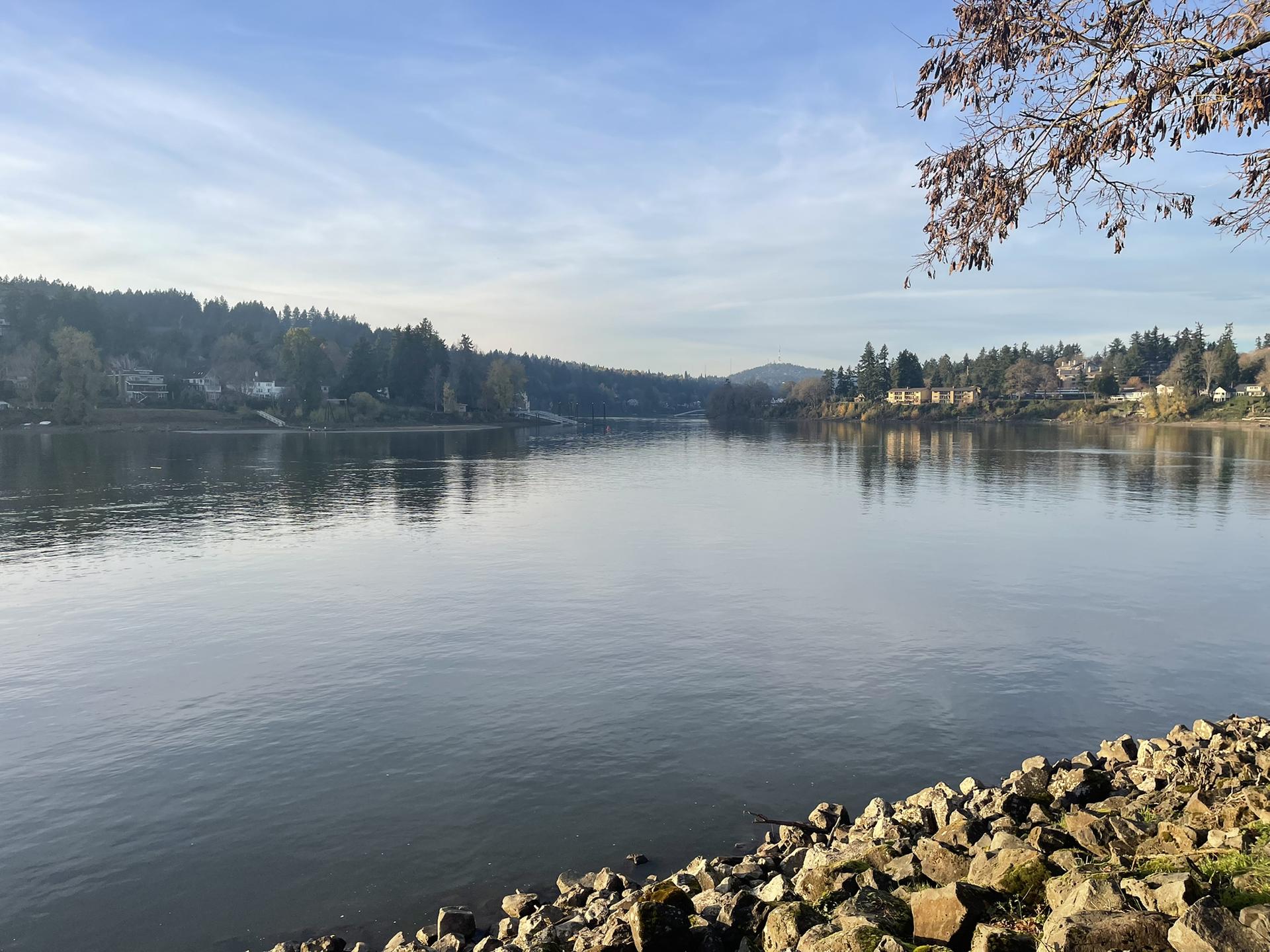Sunny river scene with forested banks, buildings, and rocky foreground.