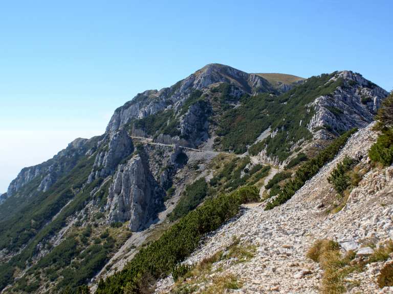 Sentier de Crête du Monte Baldo vers Rifugio Telegrafo (via Route 658 ...