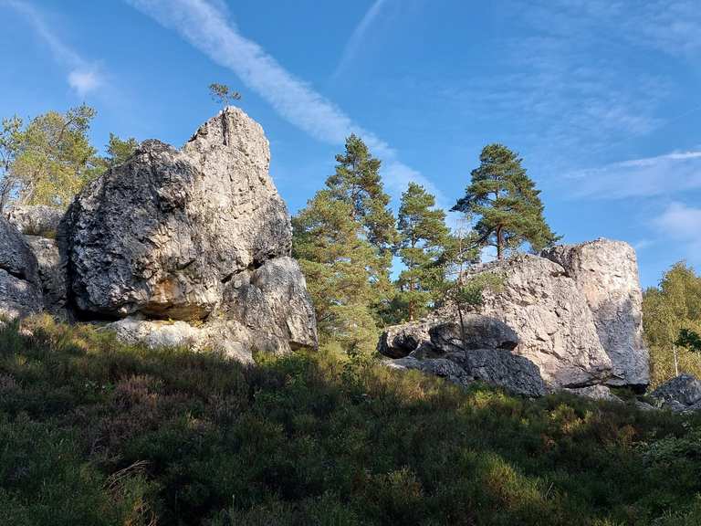 Großer Pfahl Wanderungen und Rundwege komoot