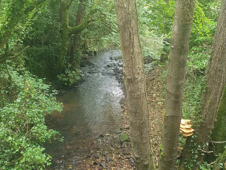 Lyme Regis to Uplyme Riverside Walk Wanderungen und Rundwege komoot