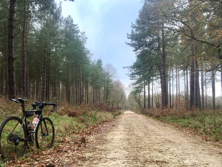 Sherwood forest online cycling