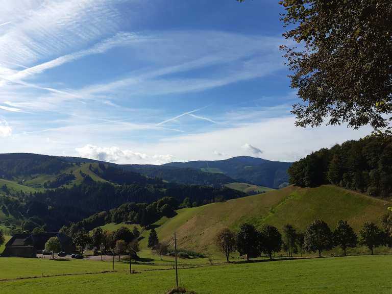 Berggasthof Gießhübel MountainbikeTouren und Trails komoot