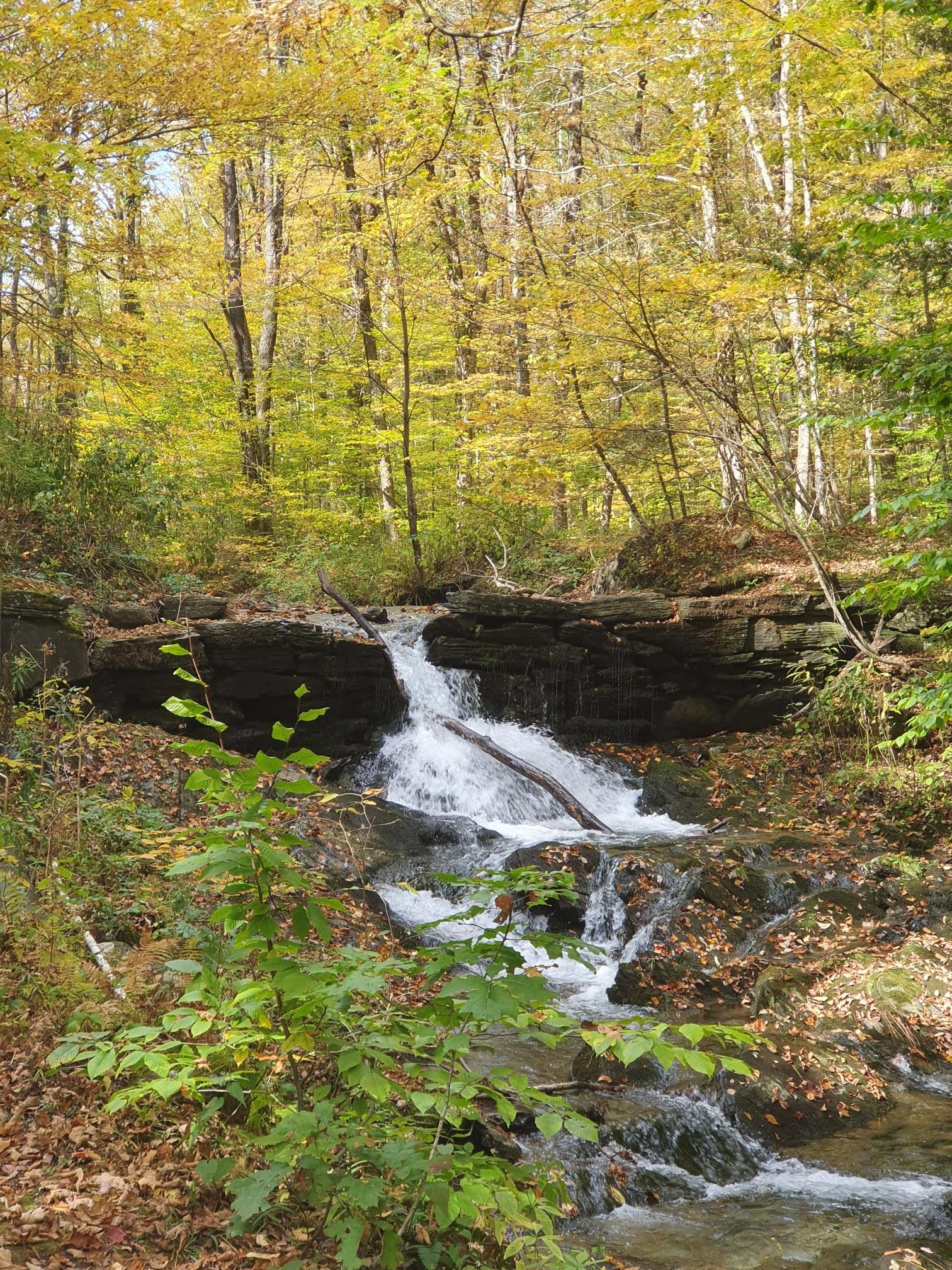 Small waterfall cascading over rocks in a lush, golden autumn forest.