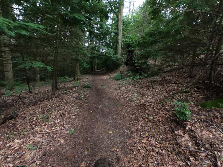 Singletrail Mountain Bike Trails & Tracks Komoot
