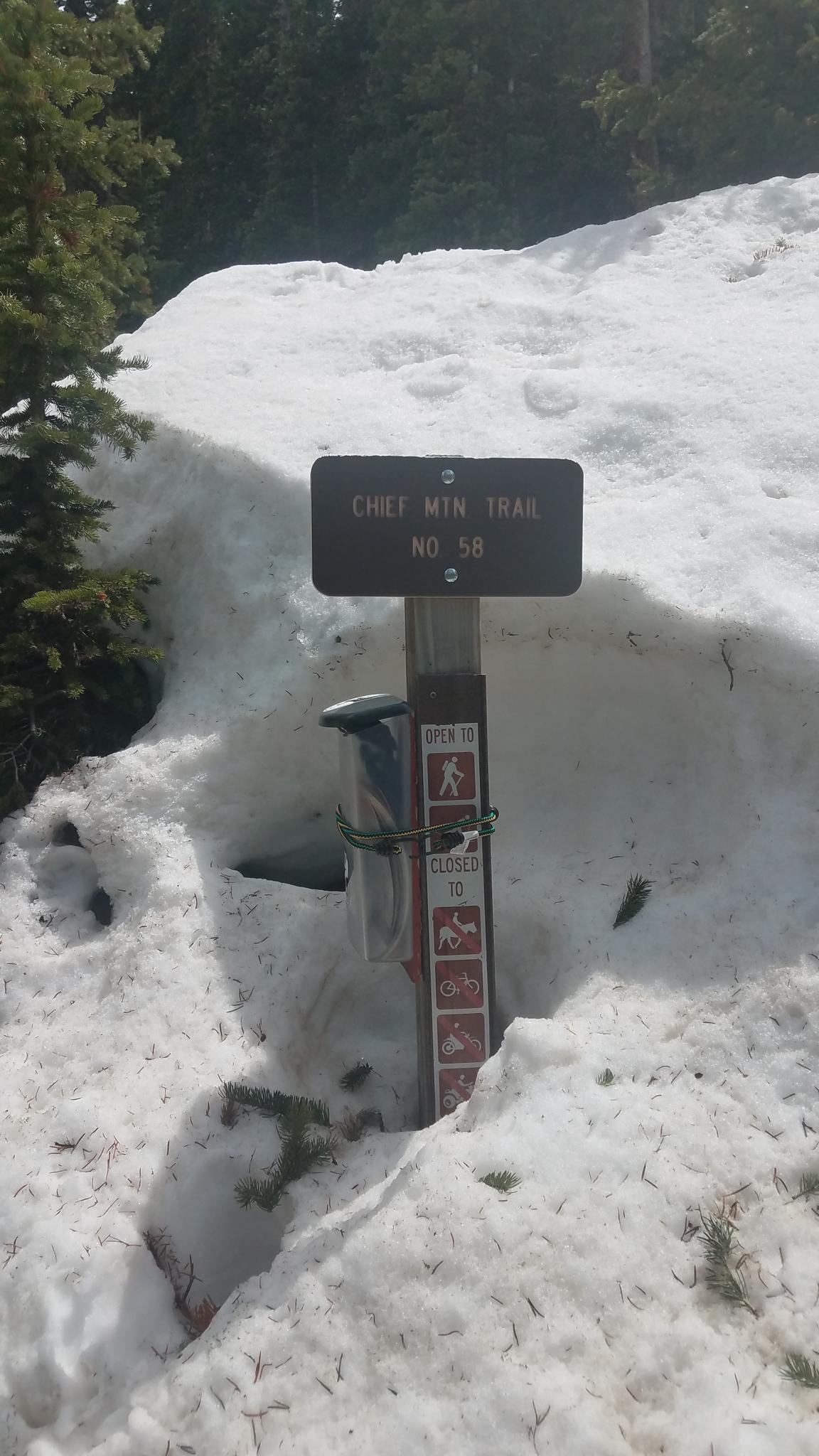 A trail sign and post emerge from deep snow on a bright day.