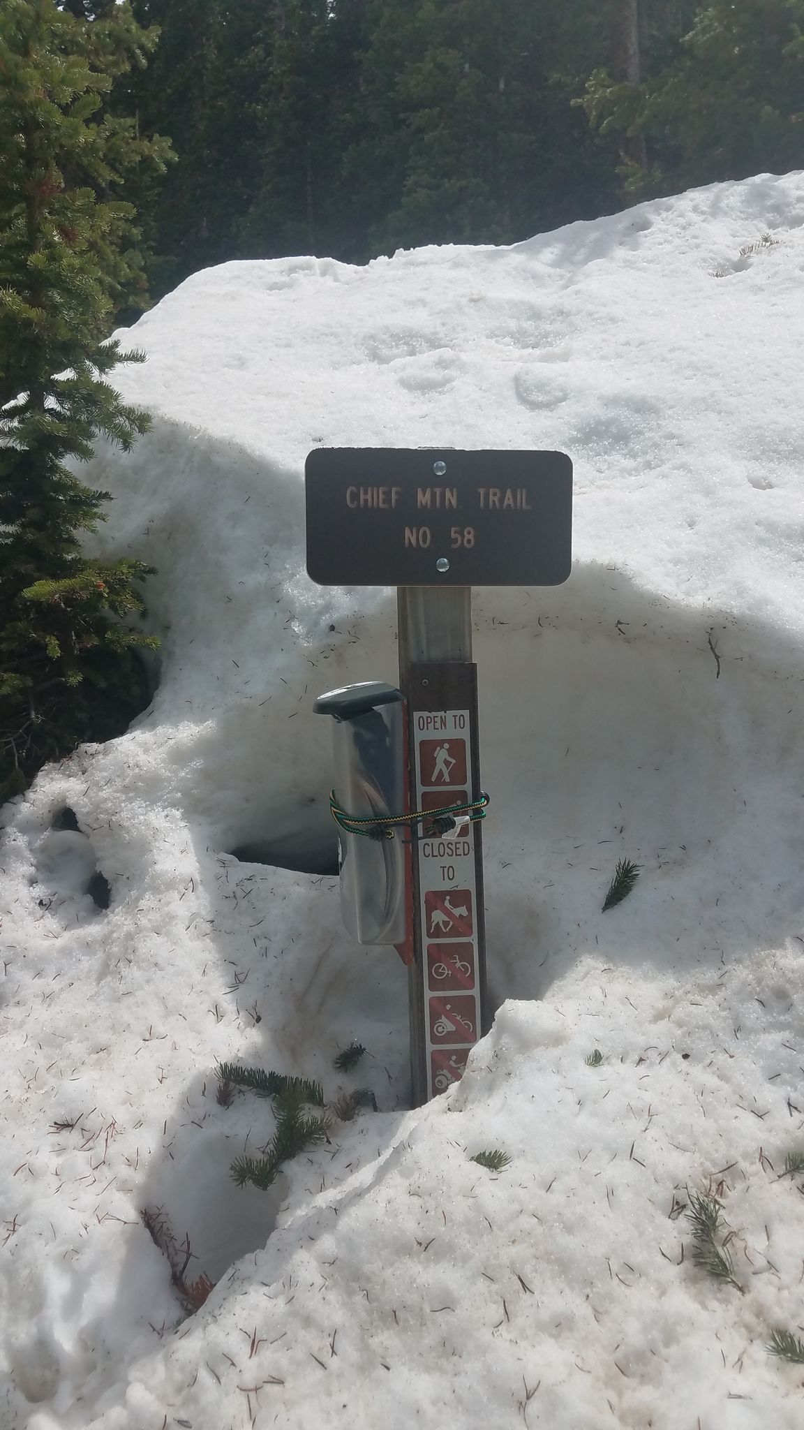 A trail sign and post emerge from deep snow on a bright day. - Chief Mountain Trail