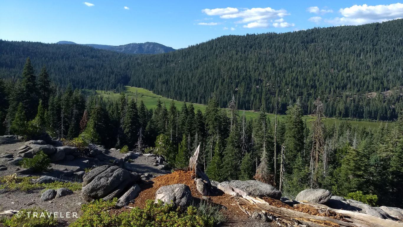 Panoramic view of a vast green forest and distant mountains under blue sky.