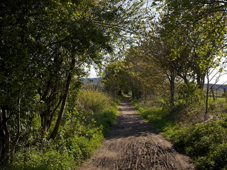 Deeside Way - Cycle Routes and Map | Komoot