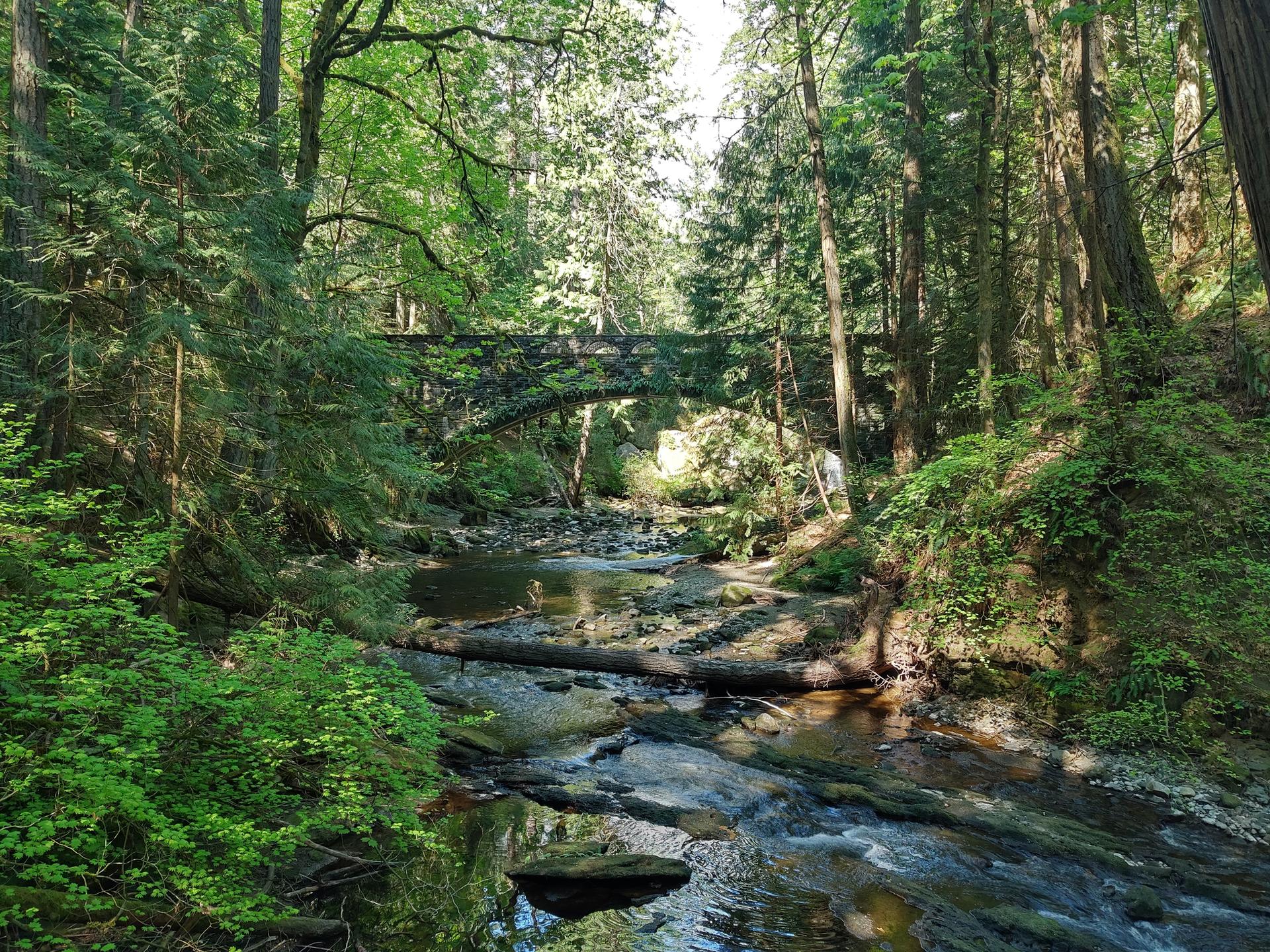 A stone bridge arches over a shallow, rocky river in a sunlit, green forest.