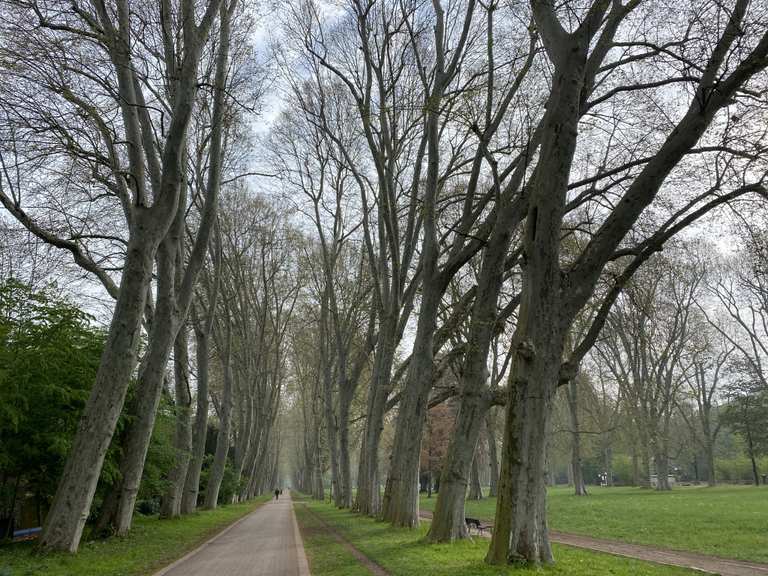 Allee im Unteren Schlossgarten - Baden-Württemberg, Deutschland
