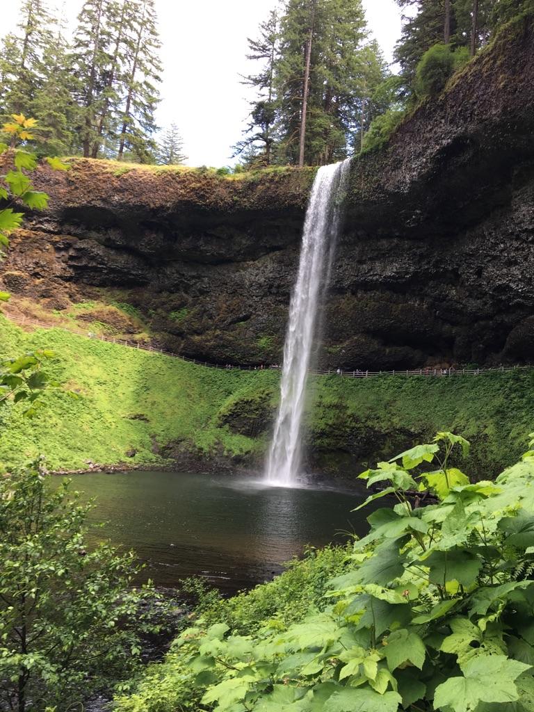 Majestic waterfall dropping into a dark pool, surrounded by vibrant green foliage.